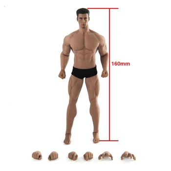 På lager 1/12 Scale TBL TM01A/TM02A Mandlige Action Figur Muskel Krop og Hoved Figur Legetøj