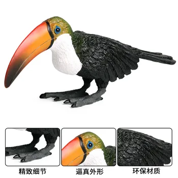 Toucan Dyr Figur Collectible Legetøj Fugle, Dyr Kognition Action Figurer, Børn, Plast Cement Legetøj