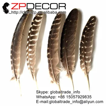 ZPDECOR 20-25cm(8-10tommer) 50pieces/masse Udvalgte Prime Kvalitet Naturlige Smukke, Vilde Tyrkiet Vinge Fjer til DIY og Karneval
