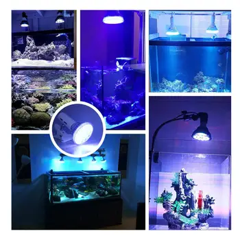 54W Led Pet Belysning Fisk Tank-Lampe LED-lys Akvarium Plante-Pære til Saltvand Marine Koralrev Sumpen Alger UV-IR-Rød Blå