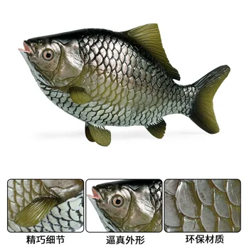 Ferskvandsfisk Karpe Karusse Dyr Figur Collectible Legetøj Fisk Animalske Kognition Action Figurer